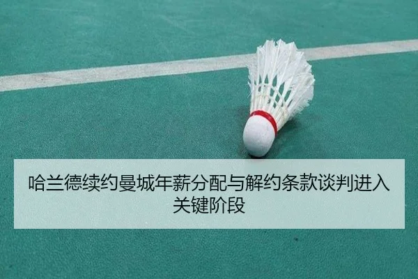 ha-lan-de-xu-yue-man-cheng-nian-xin-fen-pei-yu-jie-yue-tiao-kuan-tan-pan-jin-ru-guan-jian-jie-duan-2-287.jpg